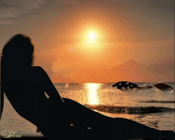 Добрых снов море