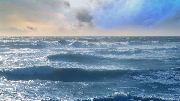 Волны на реке