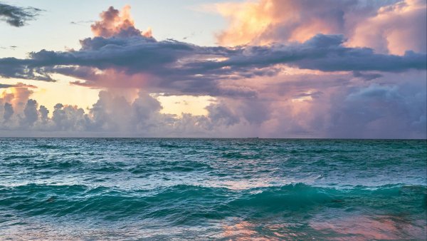 Морские волны и Чайки