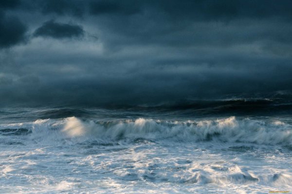 Птицы над океаном