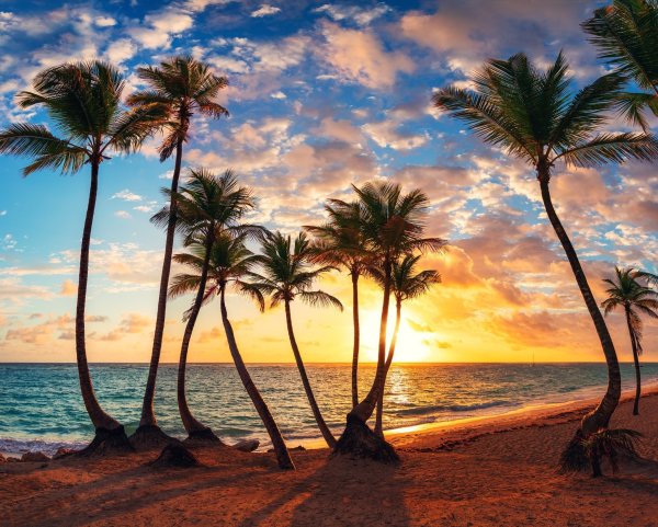 Мальдивы рай пляжи пальмы тропики