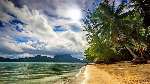 Пляж с пальмами