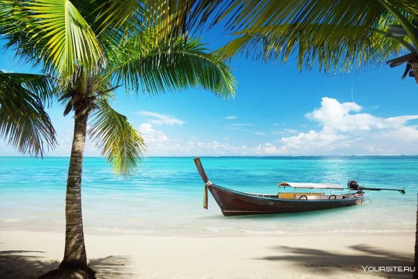 Пляж с пальмами