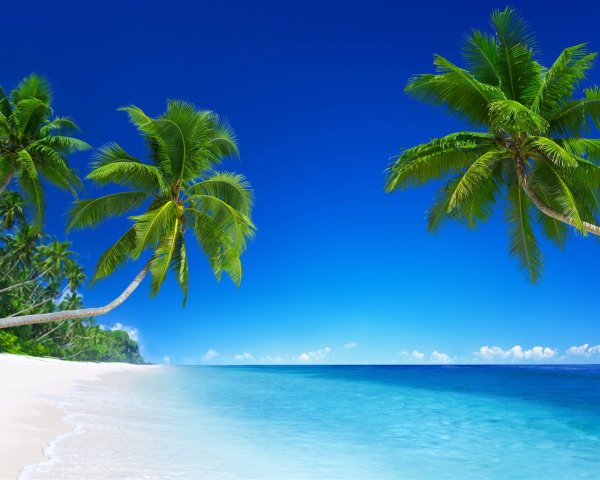 Пейзаж пляж