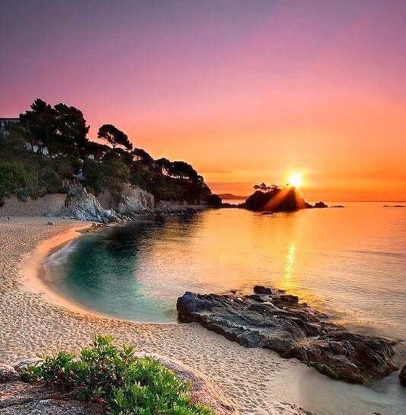 Море пляж пальмы