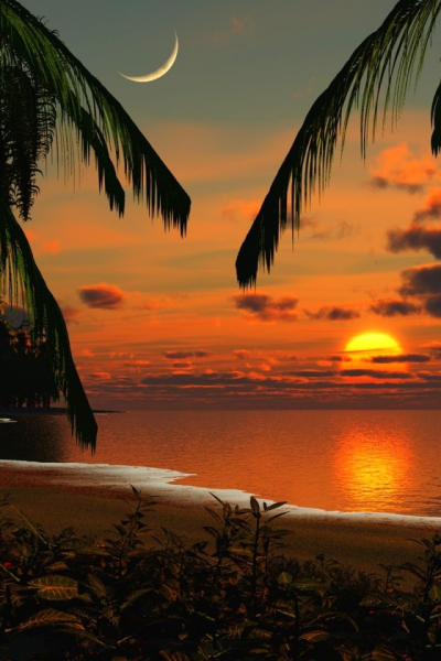 Закаты вертикальные