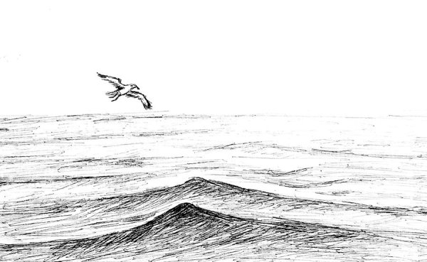 Море карандашом