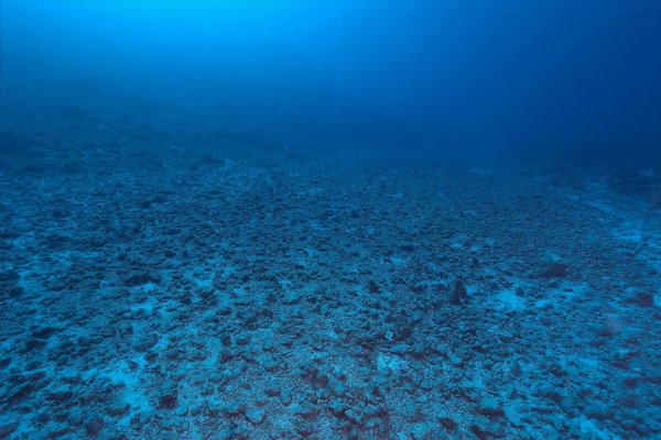 Песчаное дно океана