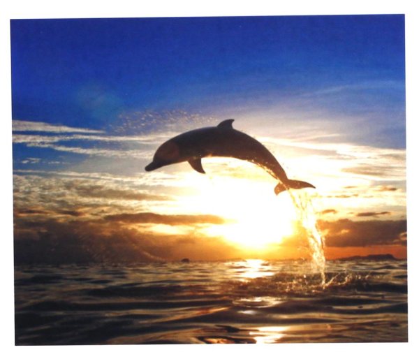 Лето море солнце