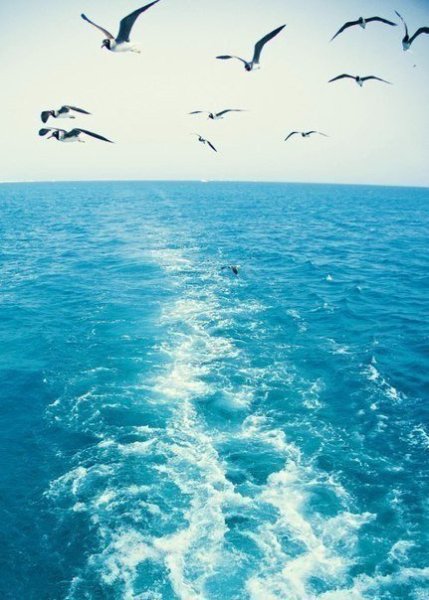 Девушка в Красном платье на море