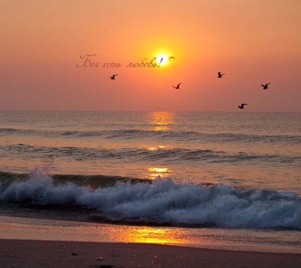 Море солнце Чайки