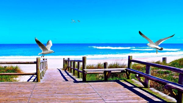 Море анимация