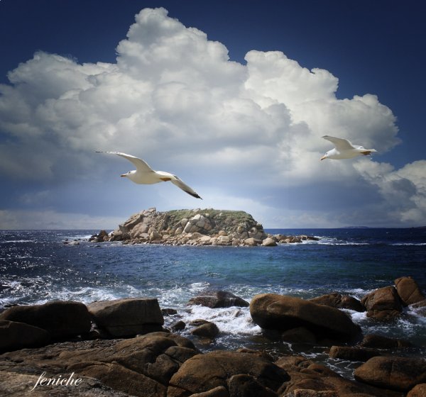 Морские поздравления с добрым утром