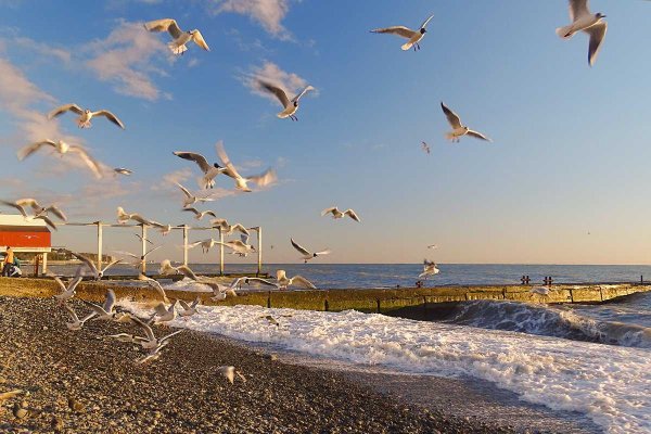 Открытки с добрым утром на морскую тему