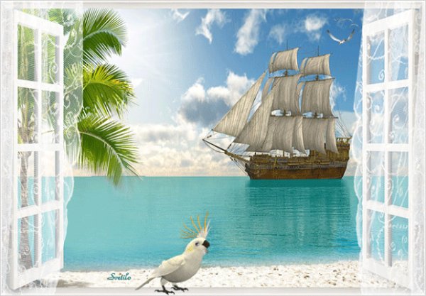 Чайки в шторм