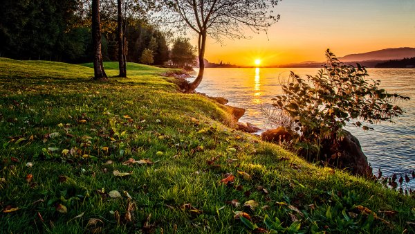 Лето река солнце