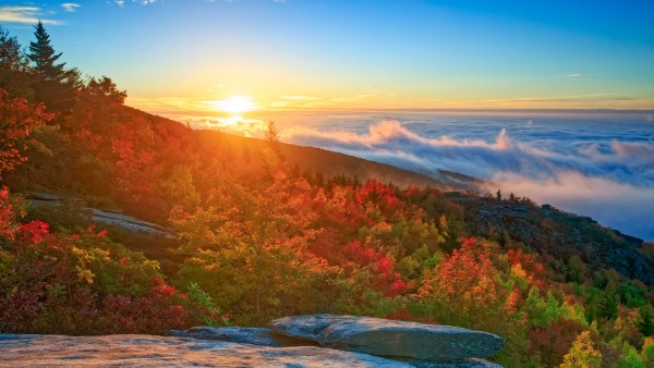 Штат Северная Каролина природа