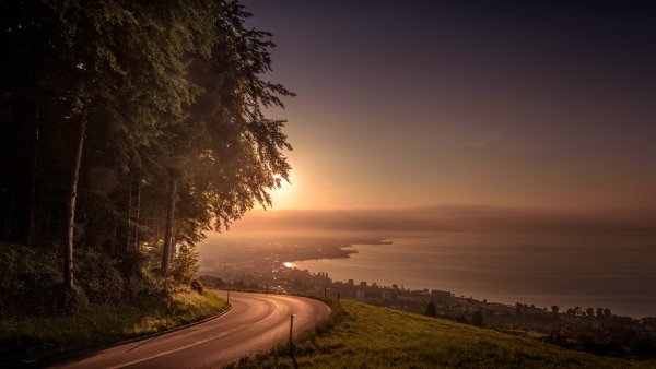 Берег озера в лесу