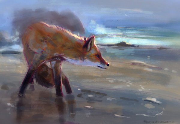 Лисенок и море