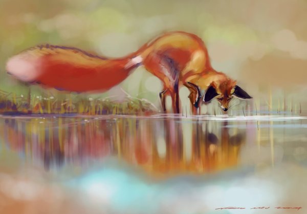 Лиса отражение в воде