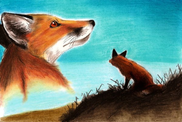 Храбрый Лисенок