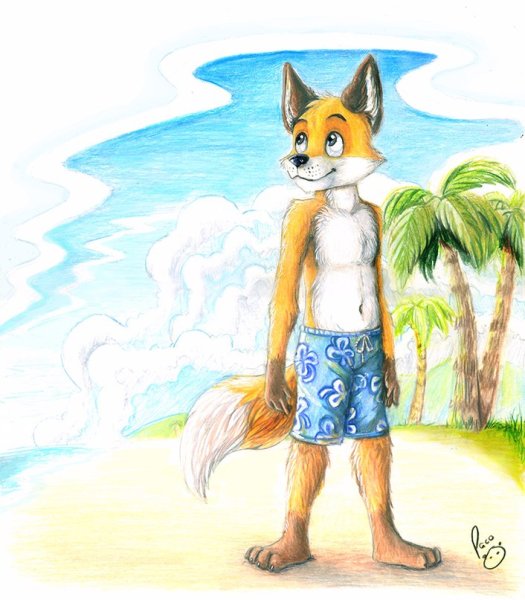 Лисичка на море