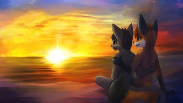 Фурри кот и Лис