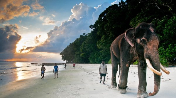 Все болезни от нервов