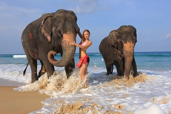 Животные под водой