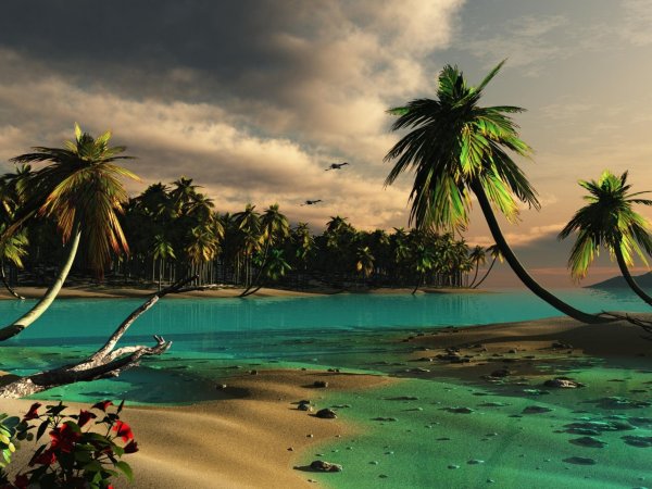 Лето море волны