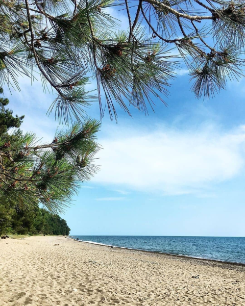 Мыс Пицунда Абхазия