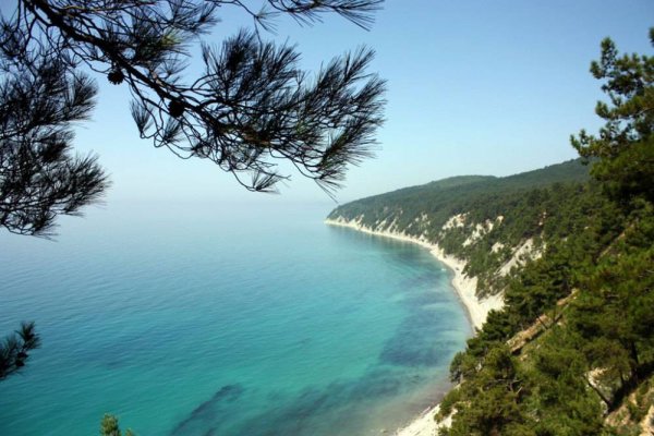 Джемете море цветет