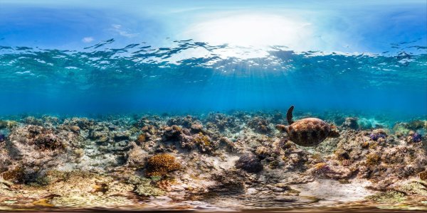 Морское дно панорама