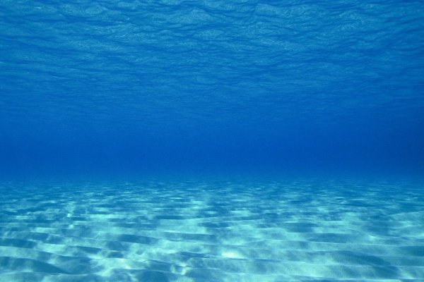 Морское дно