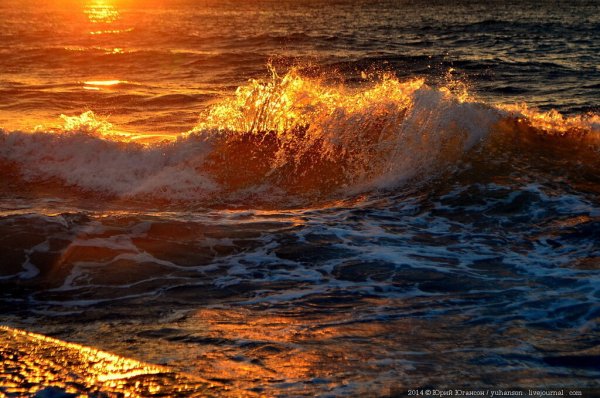 Светлогорск Калининградская область закат