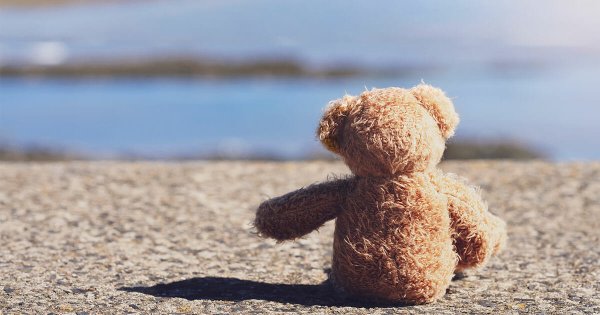 Медвежонок у моря спиной
