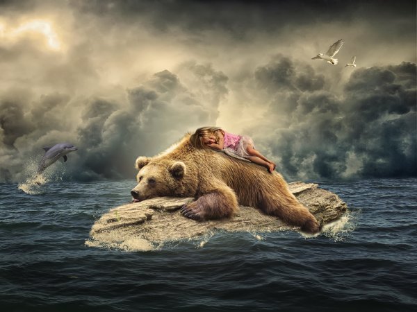 Плюшевый мишки на берегу моря