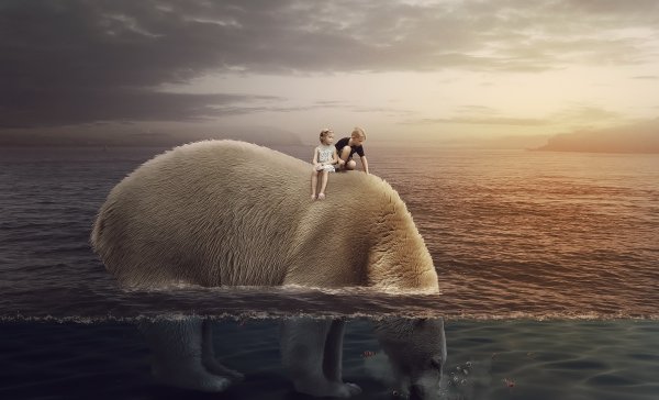 Медведи обнимаются