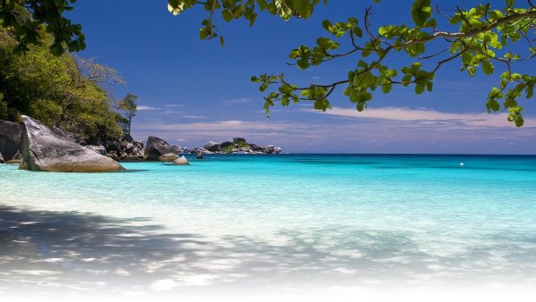 Тайланд тропики