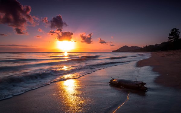 Нежный закат