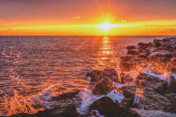 Желтое море