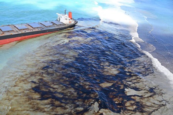 Pasha bulker корабль