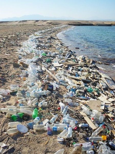Pacific Garbage Patch