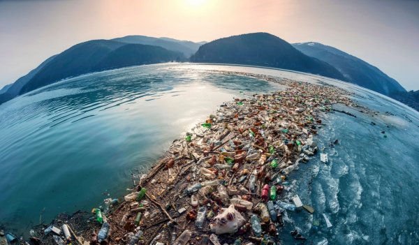 Great Pacific Garbage Patch