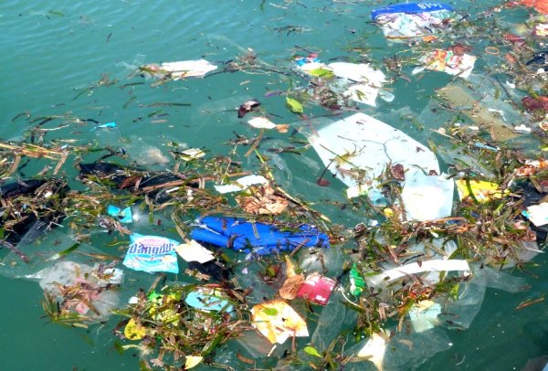 Загрязненные моря