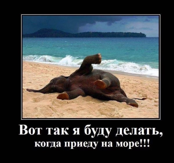 Когда наконец приехал на море