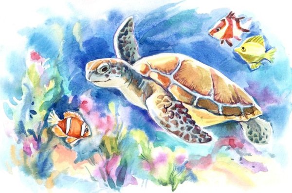 Черепаха гуашью