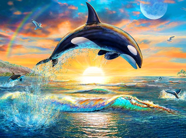 Адриан Честерман дельфины