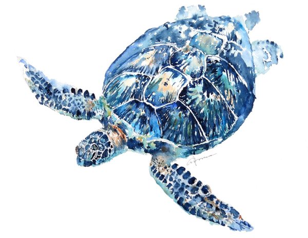 Картина черепаха