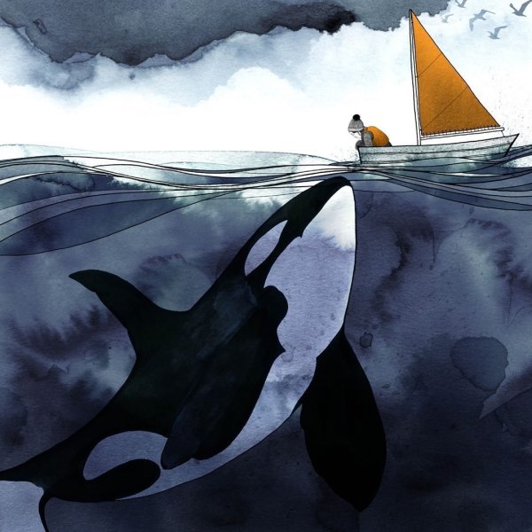 Тихоокеанская Касатка